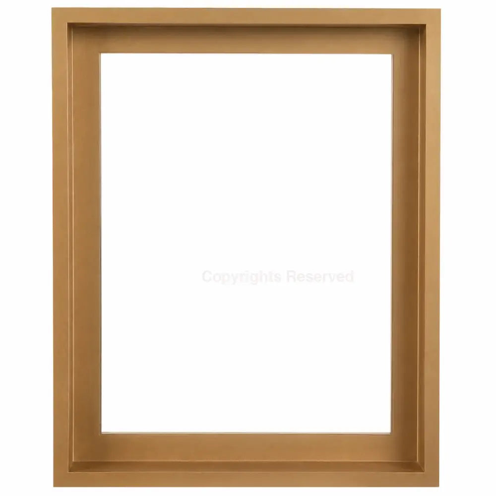 FRAMES - Gold 16 x 20